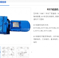 R57DRE80M4 BE1/HF/TH/IS減速電機型號解析