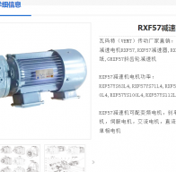 RXF57DV100L4/TF/ES1S減速電機型號解析