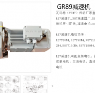 GR89-YE3/4-17.5-M1減速電機(jī)型號(hào)解析