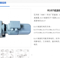 R107-229.95-YEJ-3KW-4P-M5-270°減速電機(jī)型號解析