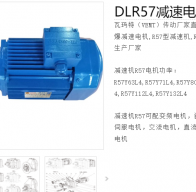 減速電機(jī)DLR57-29-Y290S-4-M6-R-1.1KW型號(hào)解析